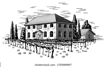 Woodcut-style illustration of a vineyard with grape vines in the front and a house in the background.