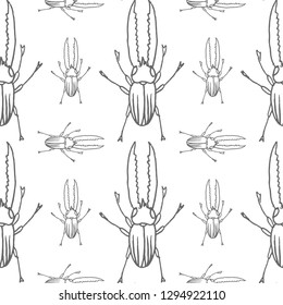 woodcutter beetle vector seamless pattern isolated on white back