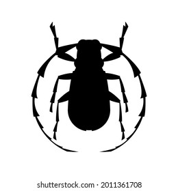 woodcutter beetle,vector illustration, black silhouette,front view