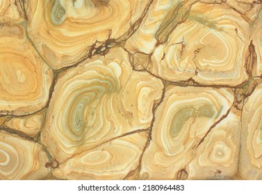 wooden abstraction, a slice of wood texture, a semblance of stone texture, beige-brown vector background with round streaks. Vector illustration design template for background, packaging, wallpaper
