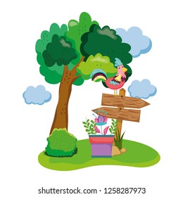wooden arrow with rooster and houseplant in the garden