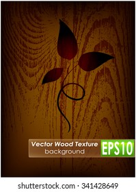 Wooden background with germ
