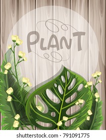 Wooden background with green leaves and white flowers illustration