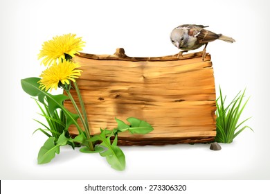 Wooden banner, dandelion and green grass, vector illustration