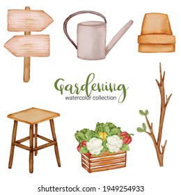 wooden, banner, watering can, branch and bucket vegetable, set of gardening objects in watercolor style on the garden theme. isolated flat vector illustration