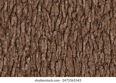 a wooden bark background texture