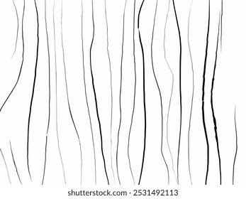 Wooden bark with black and white theme. Wooden stroke. Fabricut. Moire pattern. Simple and minimalist curly line. Muscle fiber art. horror.
