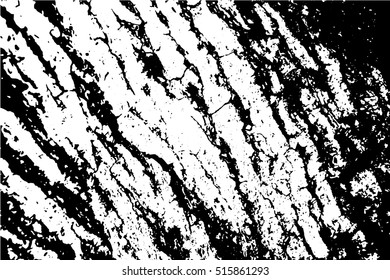 Wooden bark texture monochrome vector illustration. Black and white background with natural tree skin surface. Rough wood ornament trace. Old tree trunk macro image. Cracked timber shabby backdrop