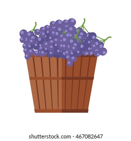 Wooden barrel with bunches of red wine grape. Vineyard grape icon. Wine barrel with red grapes icon. Wine grape icon. Isolated object in flat design on white background. Vector illustration.