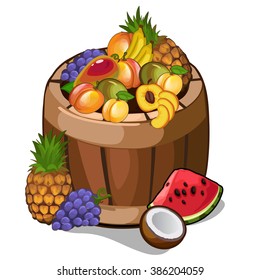 Wooden barrel with tropical fruits. Vector illustration.