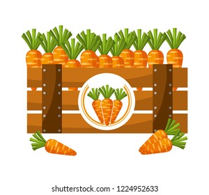 wooden basket carrots on white background