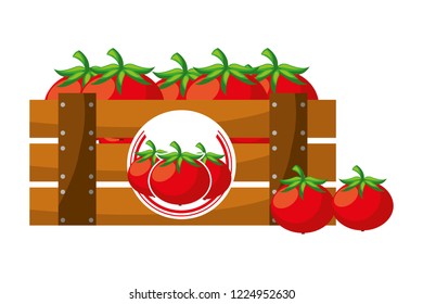 wooden basket tomatoes on white background