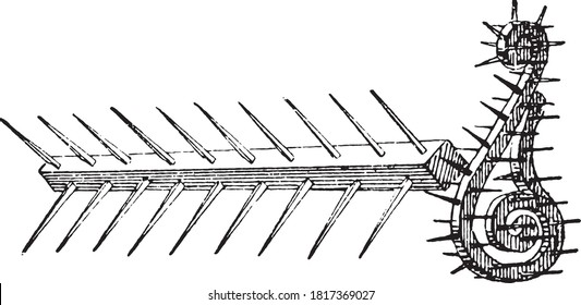 Wooden bat with spikes, From the Dictionary of Word and Things, 1888.