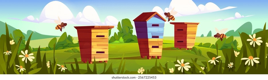 Wooden beehive boxes in summer apiary landscape - colorful hives standing on green meadow with blooming daisies, surrounding bushes and flying bees. Rural farm scenery with honey making equipment.