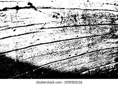 Wooden board texture vector on transparent background. Old tree trunk ornament. Cracked wooden bark textured overlay for vintage effect. Weathered and rough surface with grit and noise. Timber texture