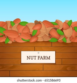 Wooden box with almond nuts. Vector illustration. Boards wood background, border with walnut fruit and label. For the design of packaging, food breakfast.