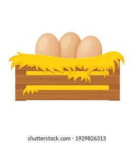 Wooden box, bale of hay, haystack with eggs in cartoon style isolated on white background. Han nest, farming clipart. Rural, textured and detailed breeding object. 