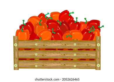 Wooden box with bell peppers isolated on white background. Harvesting vegetable. Fresh eco red sweet paprika in crate. Organic vegetable farm. Basket with garden products. Stock vector illustration