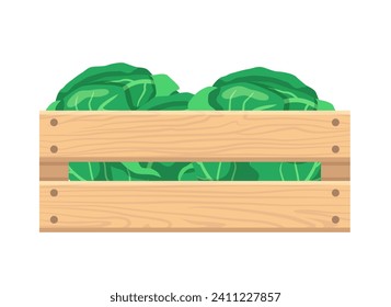 Wooden box with cabbage. Vector clipart isolated on white background.