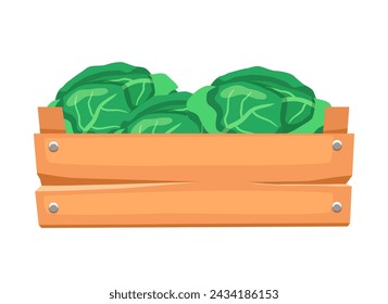 Wooden box with cabbage. Vector clipart isolated on white background.