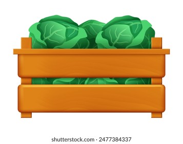 Wooden box with cabbage. Vector clipart isolated on white background.