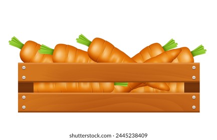Wooden box with carrots. Vector clipart isolated on white background.