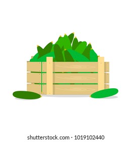 Wooden box with cucumbers, flat design object.