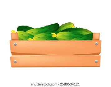 Wooden box with cucumbers. Vector 3d clipart isolated on white background.