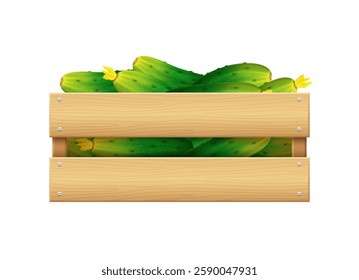 Wooden box with cucumbers. Vector 3d clipart isolated on white background.