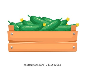 Wooden box with cucumbers. Vector clipart isolated on white background.