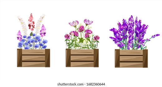 Wooden box with different types of flowers