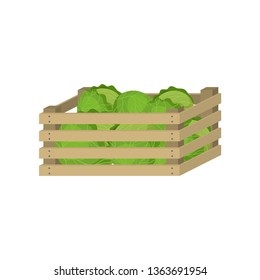 Wooden box of farm green cabbage for home storage