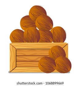 A wooden box filled with coconuts isolated on a white background. Transportation of tropical fruits. Vector cartoon close-up illustration.