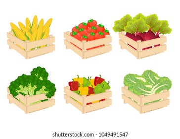 Wooden box with fresh vegetable beet root tomato broccoli apple cabbage corn peach bell pepper. Vector illustration