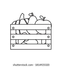 wooden box with fruits and pumpkin over white background, line style, vector illustration