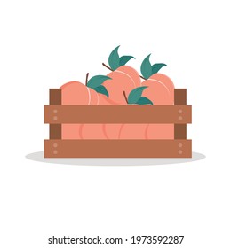 Wooden box full of peach. Vector illustration