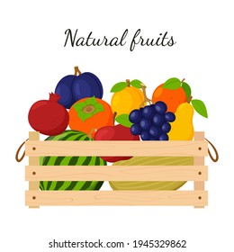 A wooden box full of ripe fresh fruit, watermelon, grapes, apple, pear. Natural, organic food. The concept of growing your own fruit. Market. Color vector illustration. Isolated on a white background