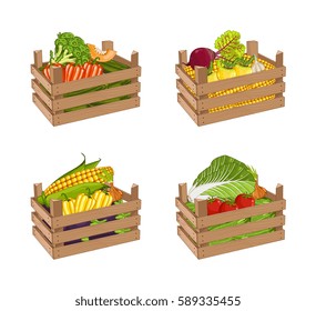 Wooden box full of vegetable set isolated vector illustration. Fresh vegetable, organic farming, delivery farm product, grocery store. Corn, pepper, radishes, eggplant, tomato, cabbage in wooden crate