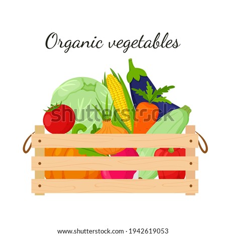 A wooden box full of vegetables, pumpkin, corn, carrots, beets, eggplant, zucchini, cabbage. Natural, organic food. The concept of growing your own vegetables. vector illustration. Isolated on white.