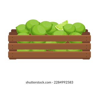 Wooden box with green limes. Healthy food, fruits, agriculture illustration, vector