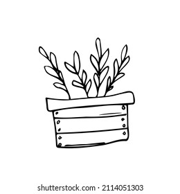 Wooden box with growing plants. Planting process. Home gardening, horticulture care for the environment concept. Vector illustration in cartoon style. Isolated on white background.