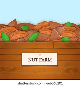 Wooden box with pecan nuts. Vector illustration. Boards wood background, border with walnut fruit and label. For the design of packaging, food breakfast, detox diet, vegan, cosmetics oil.