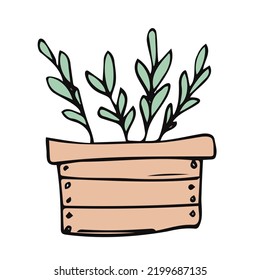 Wooden Box With Plant Label In A Flat Graphic Outline Style. Isolated Vector Garden Container With Seedlings. Color Hand-drawn Illustration Of Floriculture