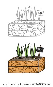Wooden box with plant label where the tulip bulbs sprouted in a flat graphic outline style. Isolated vector garden container with seedlings. Linear and color hand-drawn illustration of floriculture