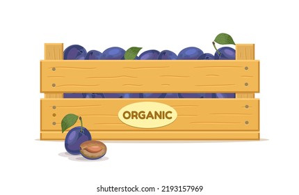 Wooden Box With Plums. Fruit Box Icon. Vector Illustration Isolated On White Background.