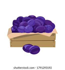 Wooden box with plums. Two plums on the background of the box. Vector illustration in flat style. Isolated on white background.