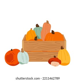 Wooden box with pumpkins. Set of colored ripe pumpkins. Local vegetables in a wooden box. Big autumn harvest. Healthy freshly harvested organic crops. Vector illustration.