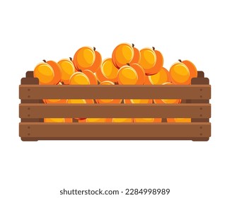 Wooden box with ripe peaches. Healthy food, fruits, agriculture illustration, vector