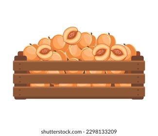 Wooden box with ripe peaches. Healthy food, fruits, agriculture illustration, vector