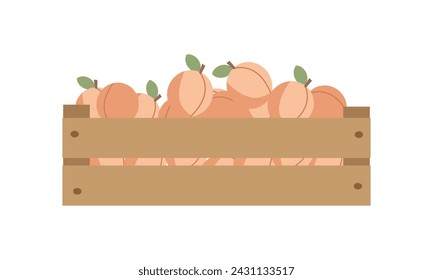 Caja de madera con melocotones maduros. Alimentos saludables, frutas, ilustración de agricultura, vector plano estilo de dibujos animados , temporada de verano, vitaminas saludables , eco y bio alimentos.